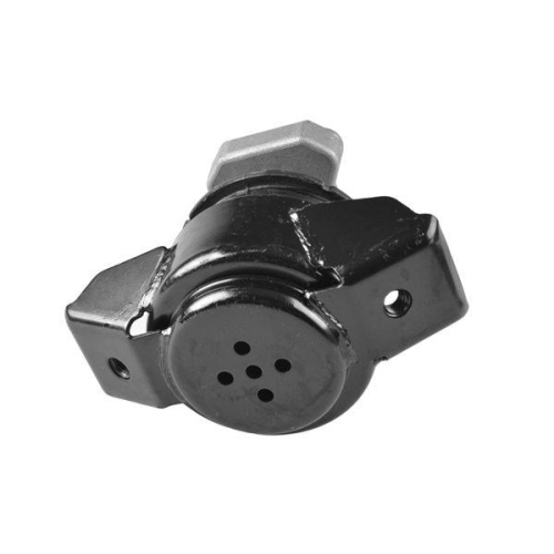 TEDGUM Lagerung, Motor