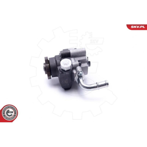 ESEN SKV Hydraulikpumpe, Lenkung 10SKV295