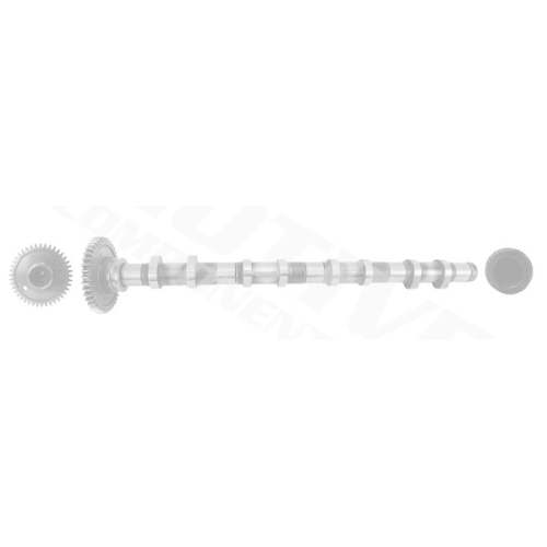 MOTIVE Nockenwelle T4342