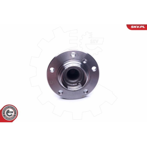ESEN SKV Radlagersatz