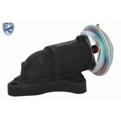 ACKOJA AGR-Ventil EXPERT KITS +