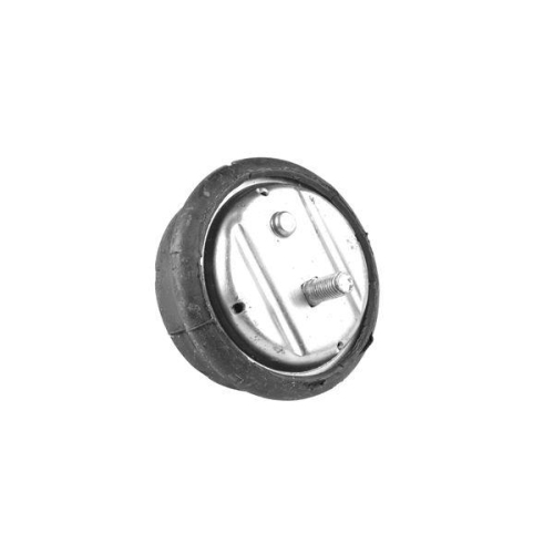 TEDGUM Lagerung, Motor