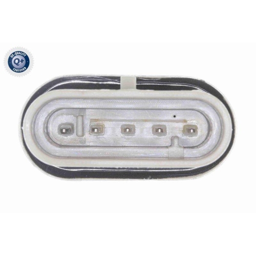 VEMO Wassersensor, Kraftstoffanlage Q+, Erstausrüsterqualität V24-72-0295