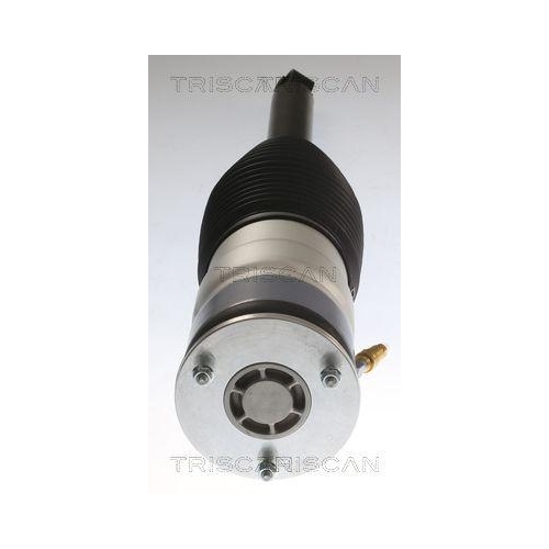 TRISCAN Luftfederbein