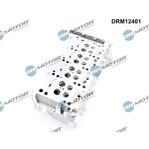 Dr.Motor Automotive Zylinderkopf DRM12401