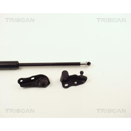 TRISCAN Gasfeder, Koffer-/Laderaum 8710 13264