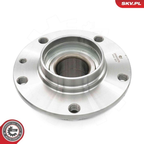 ESEN SKV Radlagersatz