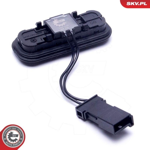 ESEN SKV Schalter, T&uuml;rverriegelung 16SKV258