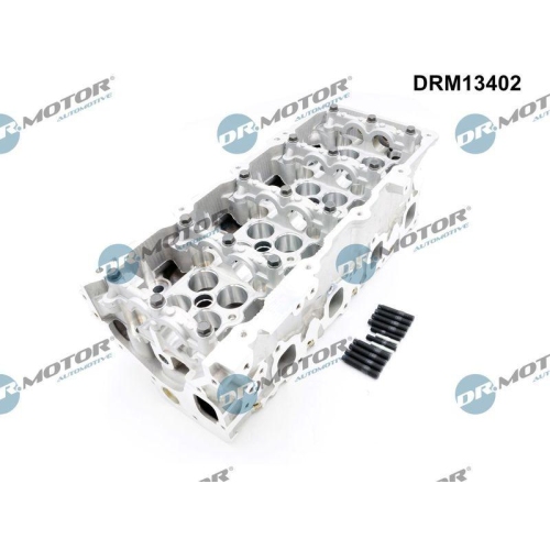 Dr.Motor Automotive Zylinderkopf DRM13402