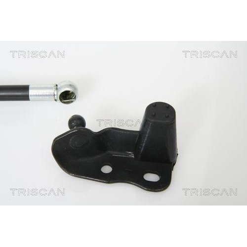 TRISCAN Gasfeder, Koffer-/Laderaum 8710 13265