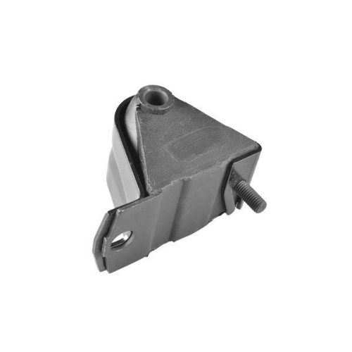 TEDGUM Lagerung, Motor