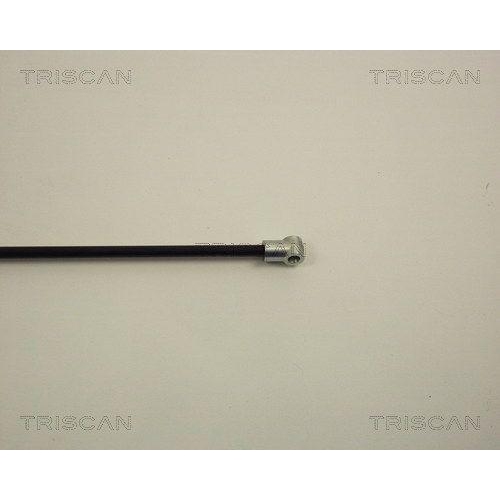 TRISCAN Gasfeder, Koffer-/Laderaum 8710 1517