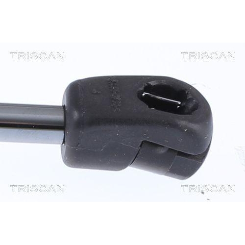 TRISCAN Gasfeder, Koffer-/Laderaum 8710 292059