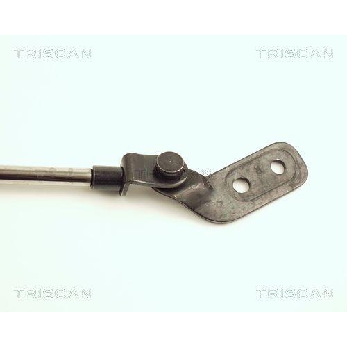 TRISCAN Gasfeder, Koffer-/Laderaum 8710 18206