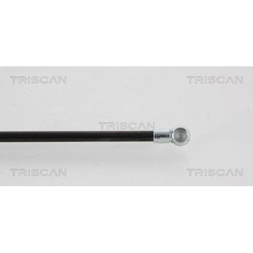 TRISCAN Gasfeder, Koffer-/Laderaum 8710 41215