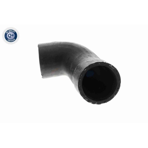 VAICO Ladeluftschlauch Q+, Erstausrüsterqualität V10-3758