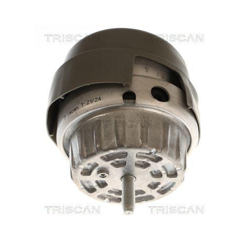 TRISCAN Lagerung, Motor 8505 29197
