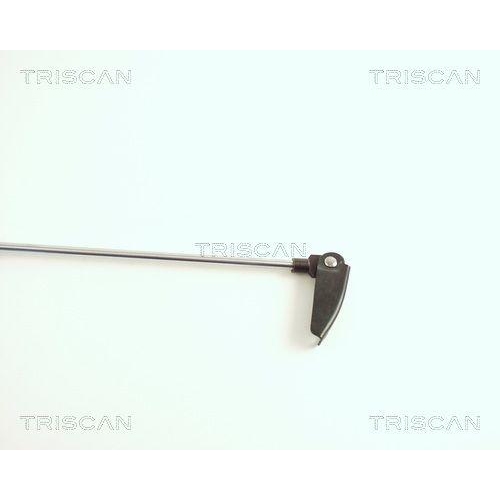 TRISCAN Gasfeder, Koffer-/Laderaum 8710 43202