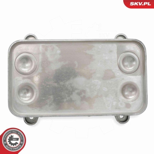 ESEN SKV &Ouml;lk&uuml;hler, Motor&ouml;l