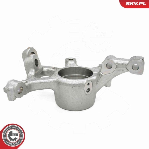 ESEN SKV Achsschenkel, Radaufhängung