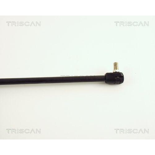 TRISCAN Gasfeder, Koffer-/Laderaum 8710 50210