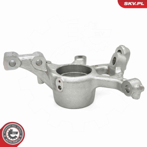 ESEN SKV Achsschenkel, Radaufhängung