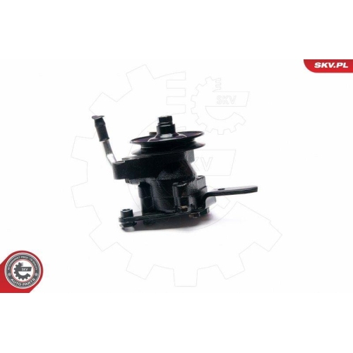 ESEN SKV Hydraulikpumpe, Lenkung