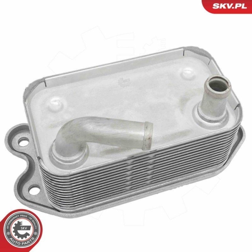 ESEN SKV &Ouml;lk&uuml;hler, Motor&ouml;l 31SKV302