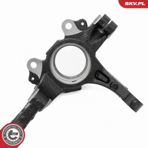 ESEN SKV Achsschenkel, Radaufh&auml;ngung