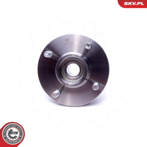 ESEN SKV Radlagersatz 29SKV520