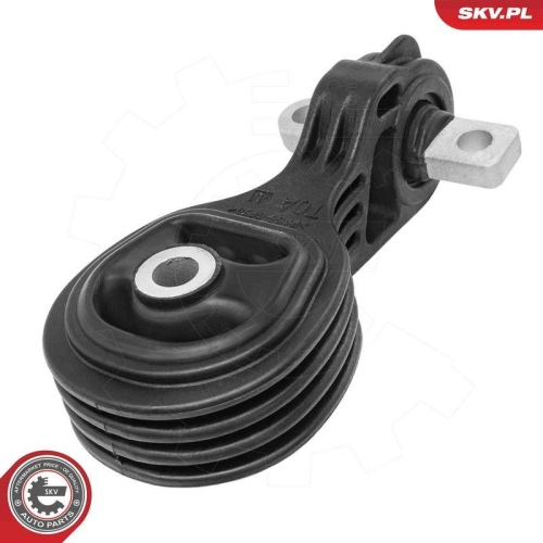 ESEN SKV Lagerung, Motor