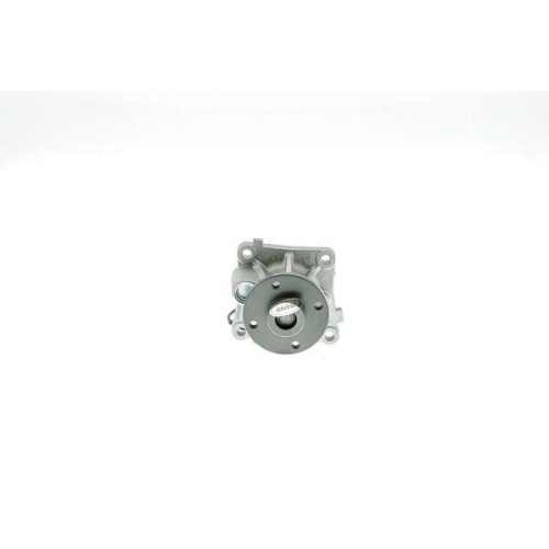 AISIN Wasserpumpe, Motork&uuml;hlung WE-SM01B