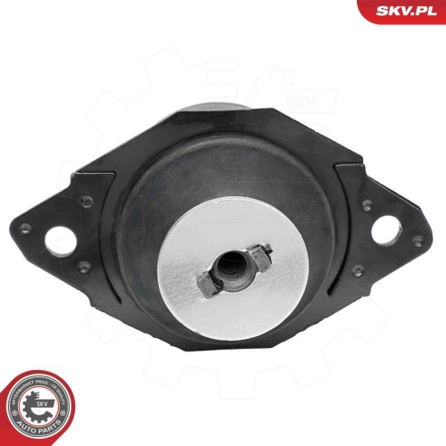 ESEN SKV Lagerung, Motor