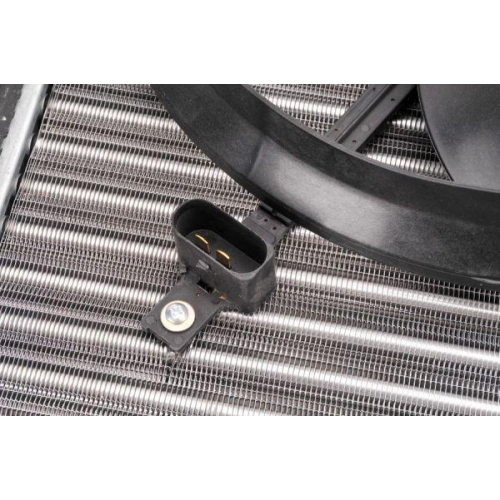 THERMOTEC Kühler, Motorkühlung D7S005TT