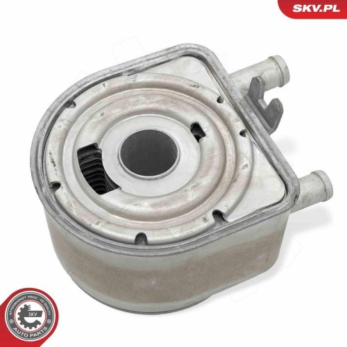 ESEN SKV &Ouml;lk&uuml;hler, Motor&ouml;l 31SKV274