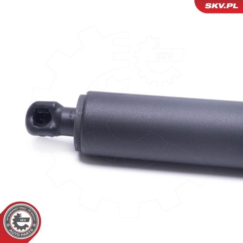 ESEN SKV Elektromotor, Heckklappe 52SKV962