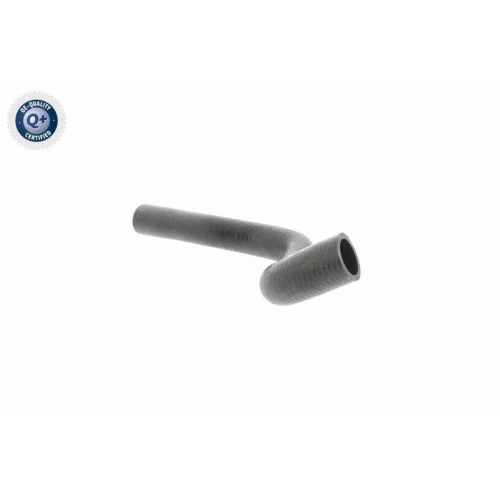 VAICO Kühlerschlauch Q+, Erstausrüsterqualität V20-1704