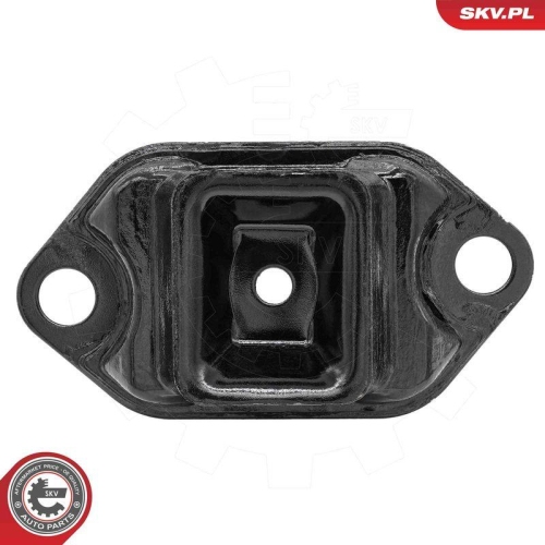 ESEN SKV Lagerung, Schaltgetriebe