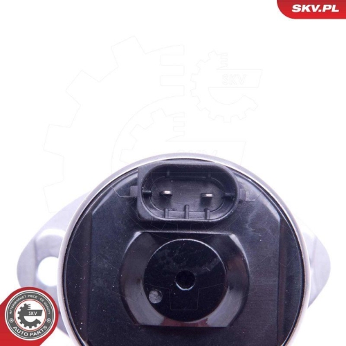 ESEN SKV Stellelement, Exzenterwelle (variabler Ventilhub) 96SKV089
