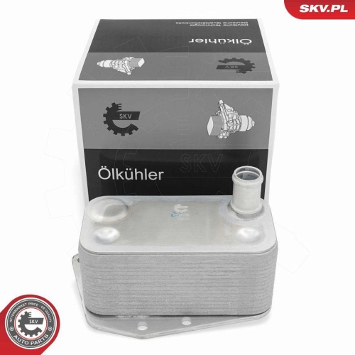 ESEN SKV &Ouml;lk&uuml;hler, Motor&ouml;l 31SKV298