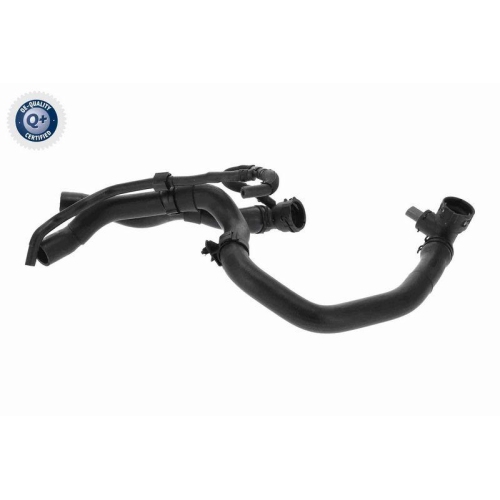 VAICO Kühlerschlauch Q+, Erstausrüsterqualität V10-4884