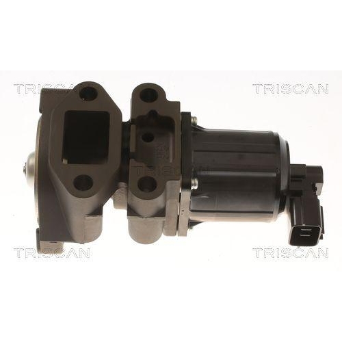 TRISCAN AGR-Ventil 8813 43055