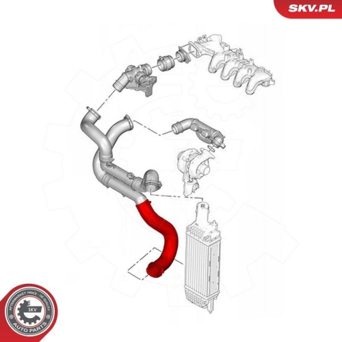 ESEN SKV Ladeluftschlauch 54SKV123