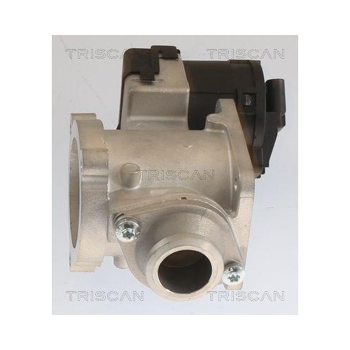 TRISCAN AGR-Ventil 8813 11020