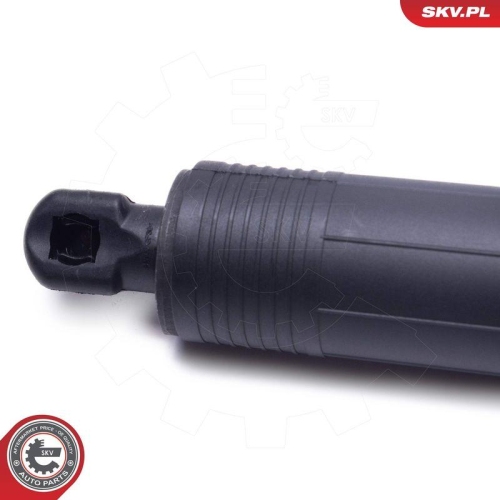 ESEN SKV Elektromotor, Heckklappe 52SKV971