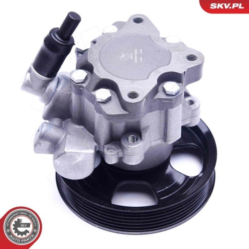 ESEN SKV Hydraulikpumpe, Lenkung 10SKV241
