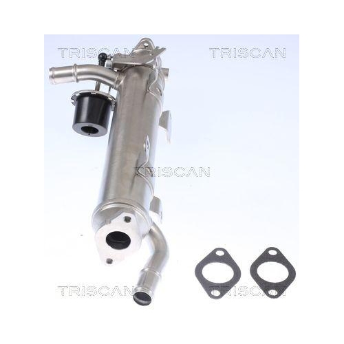 TRISCAN Kühler, Abgasrückführung 8813 29322