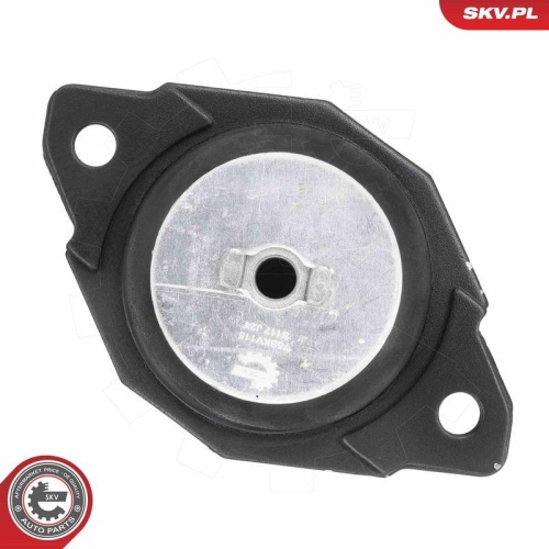 ESEN SKV Lagerung, Motor 75SKV115