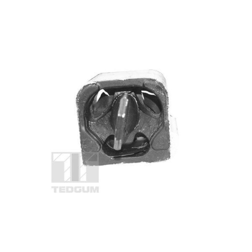 TEDGUM Lagerung, Motor