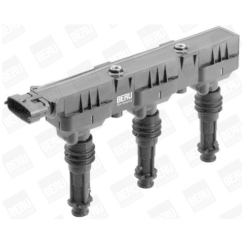 BorgWarner (BERU) Zündspule ZS359